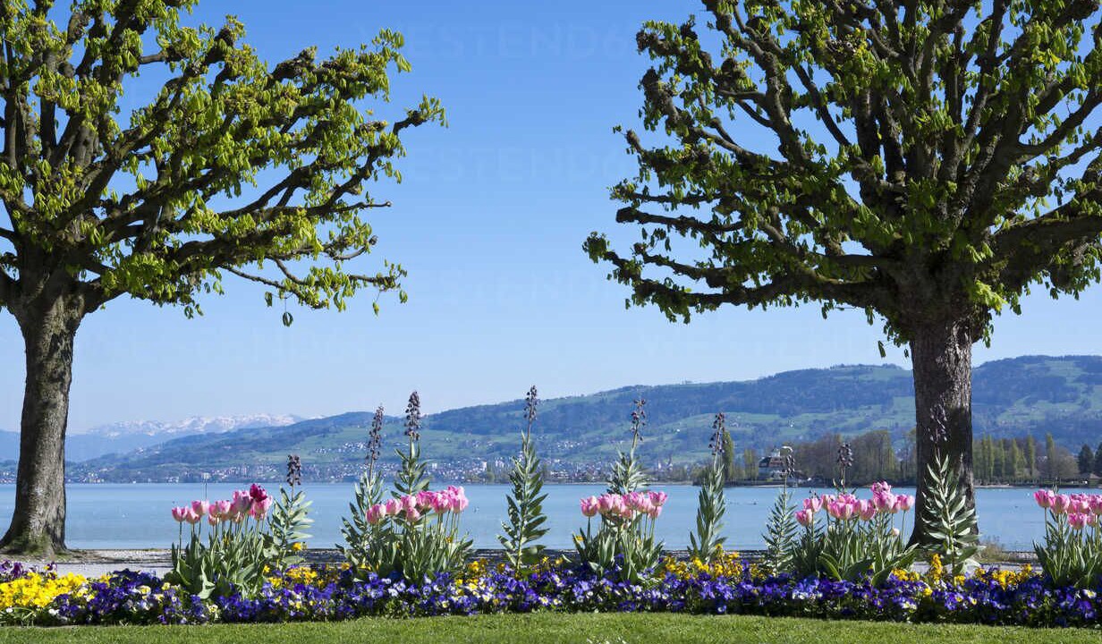 Photo of Outdoor in Arbon