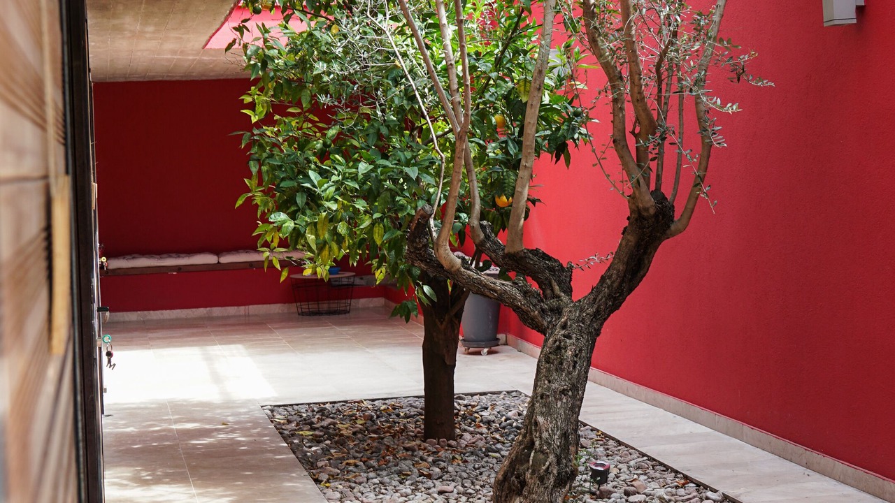 Photo of Patio Balcony in Plan des 4 Seigneurs