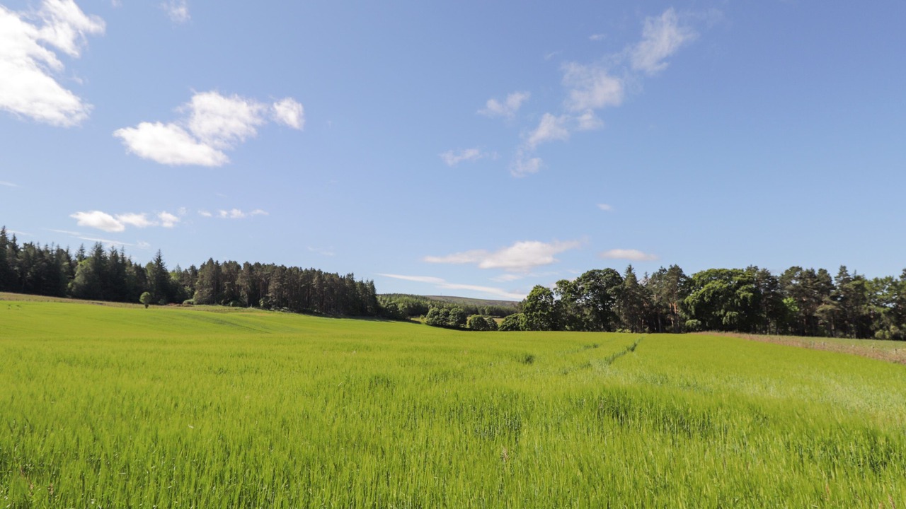 Photo of Others in Elgin