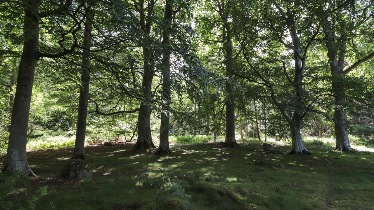 Photo of Others in Elgin