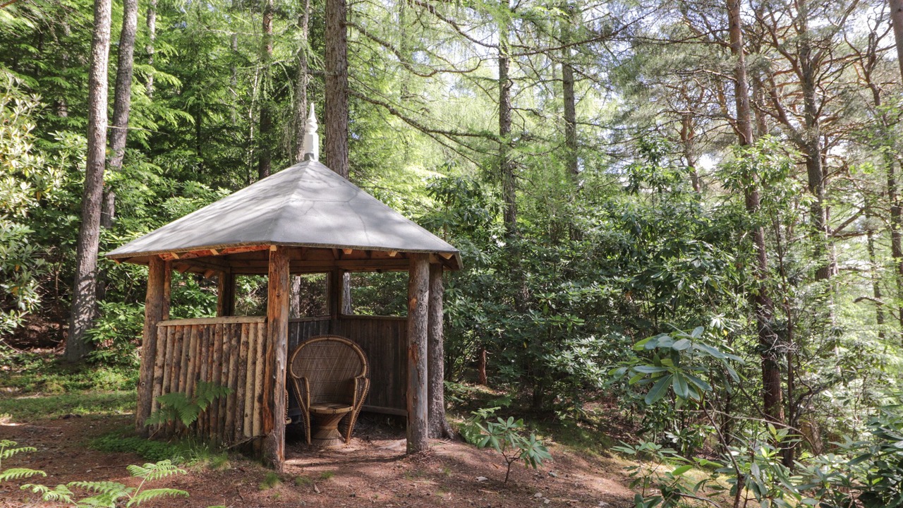 Photo of Others in Elgin