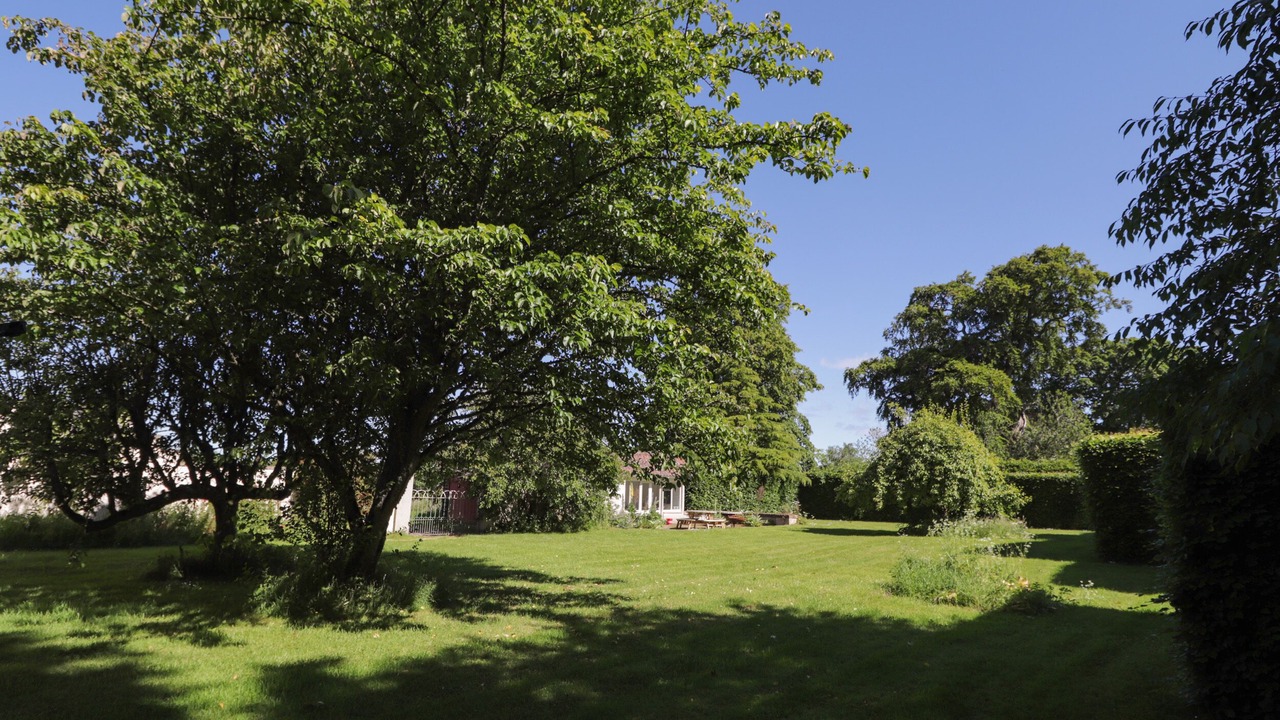 Photo of Others in Elgin