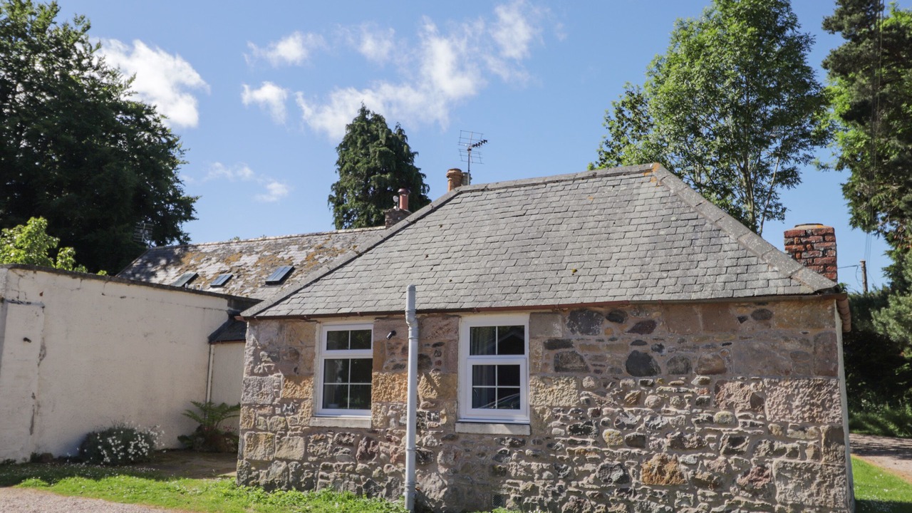 Photo of Others in Elgin