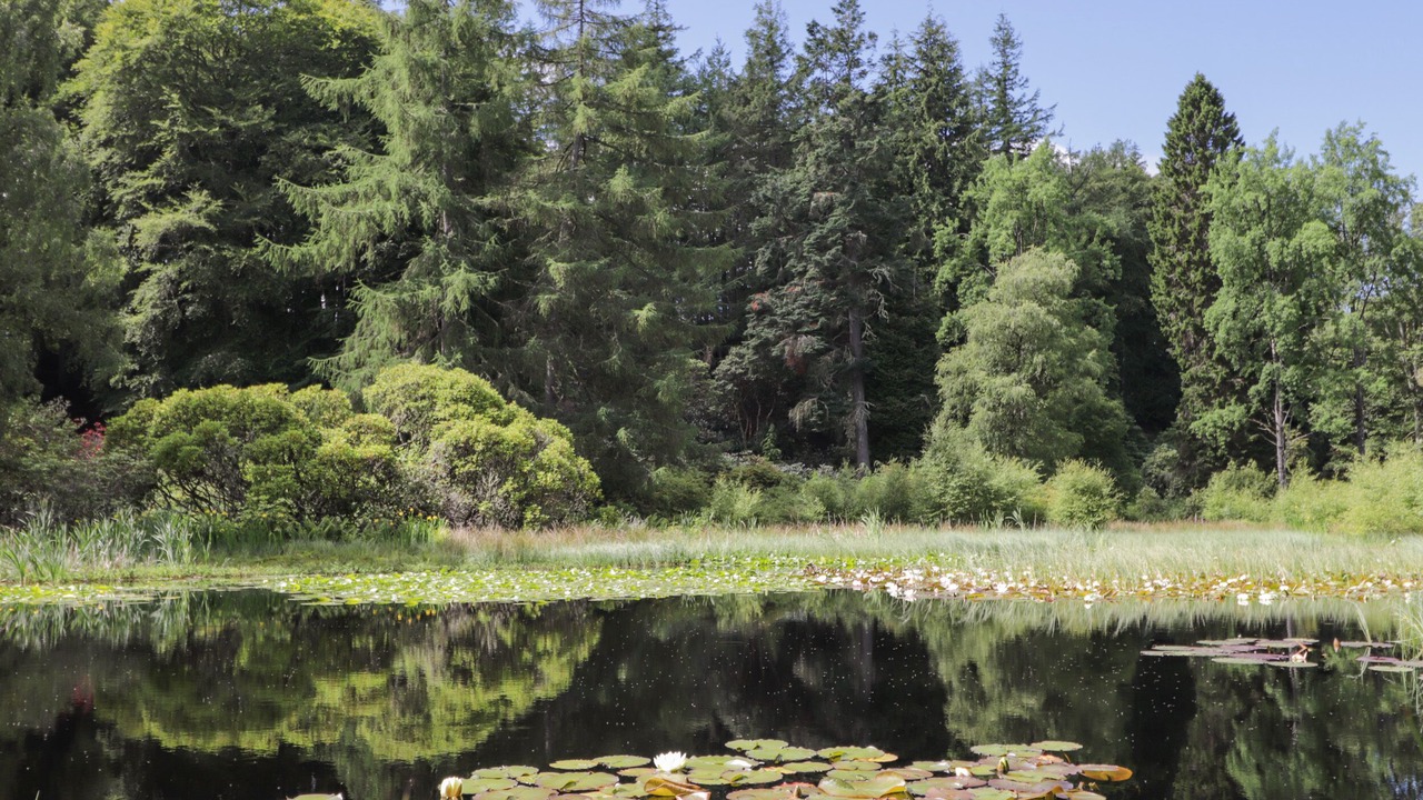 Photo of Others in Elgin