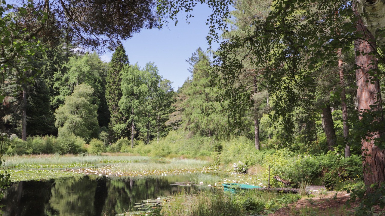 Photo of Others in Elgin