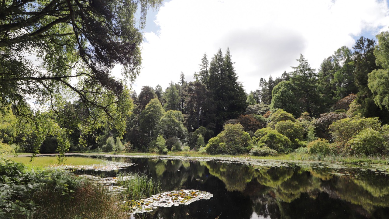 Photo of Others in Elgin