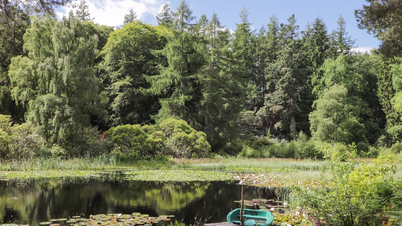 Photo of Others in Elgin