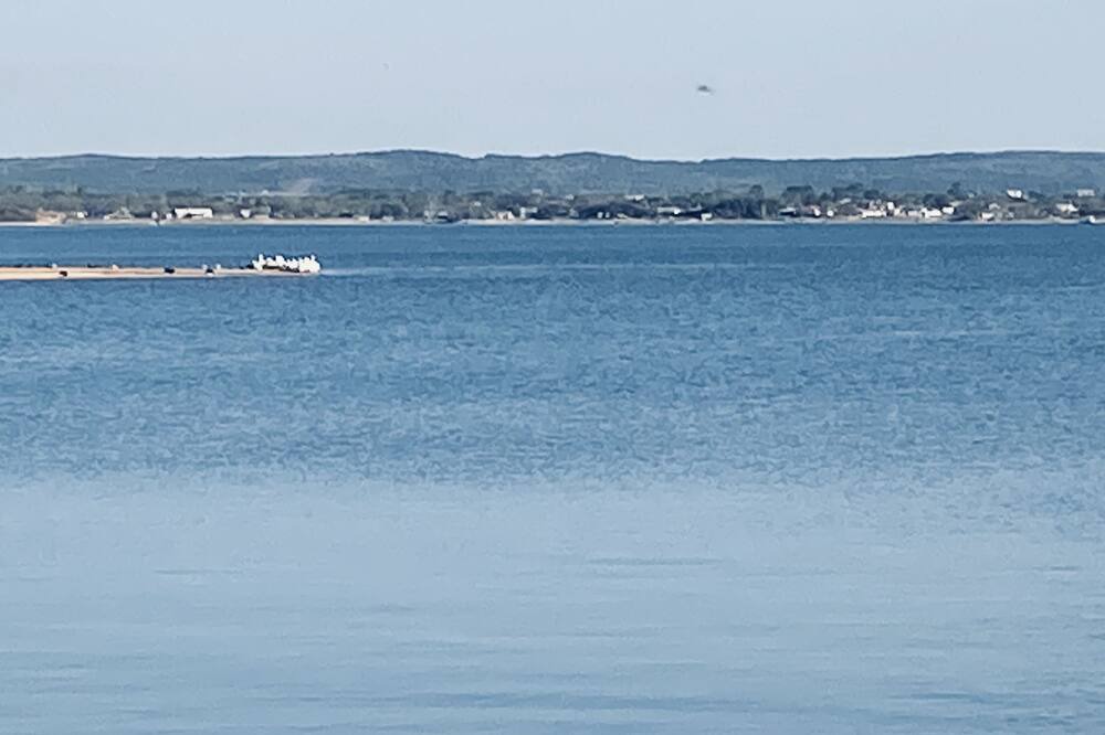 Photo of Others in Tow
