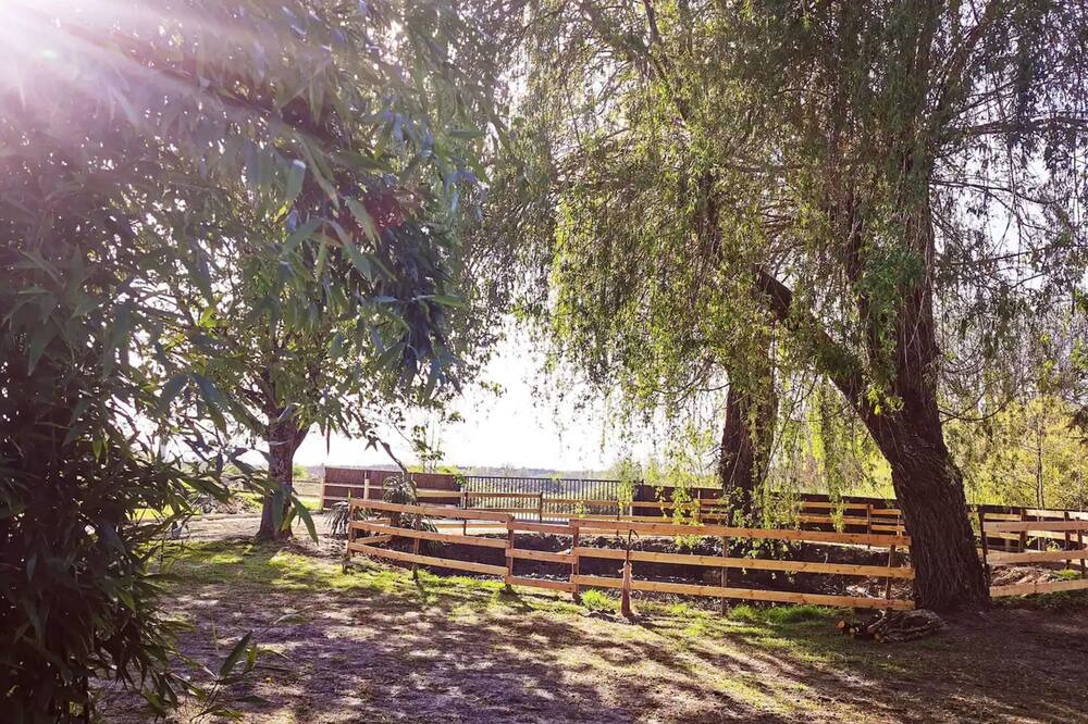 Photo of Outdoor in Pruniers-en-Sologne