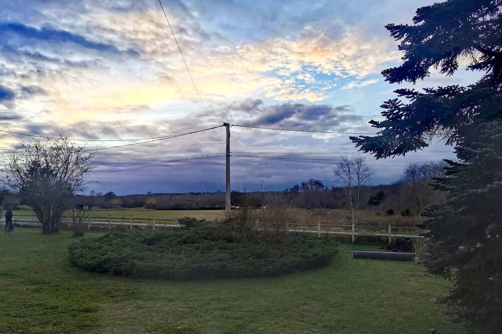 Photo of Others in Pruniers-en-Sologne