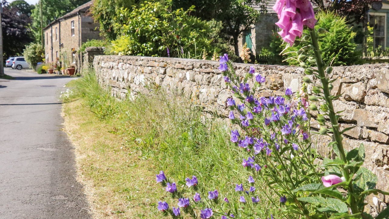 Photo of Others in Bainbridge