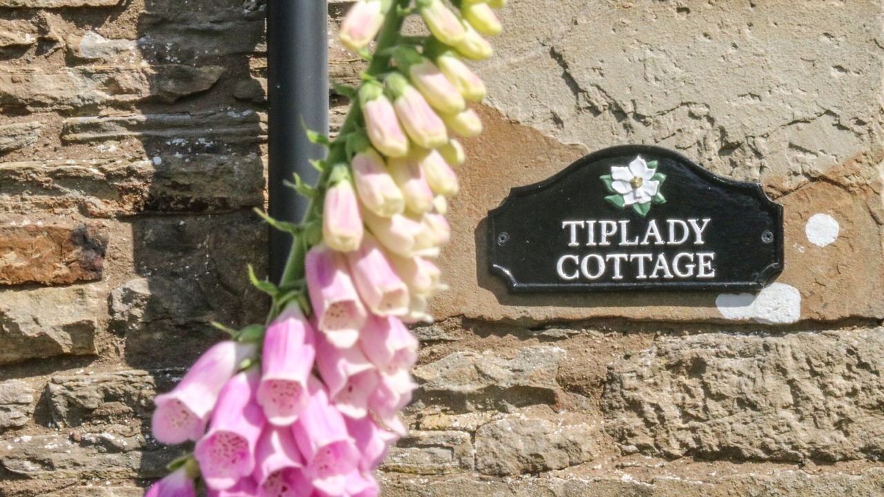 Photo of Others in Bainbridge