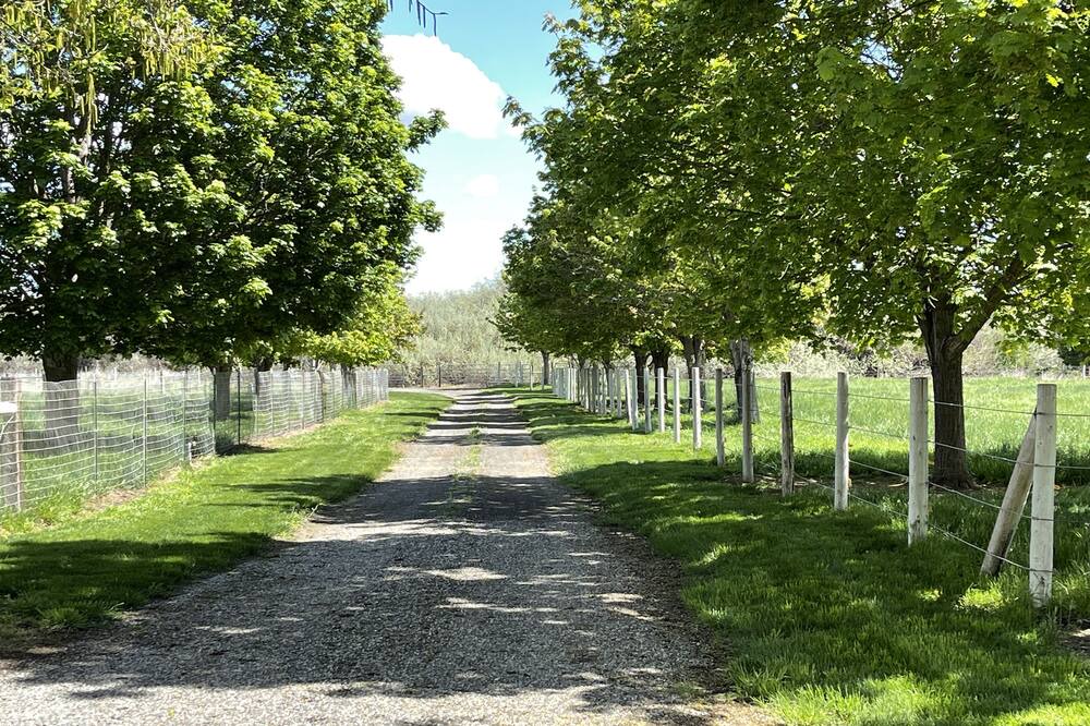 Photo of Others in Benton County