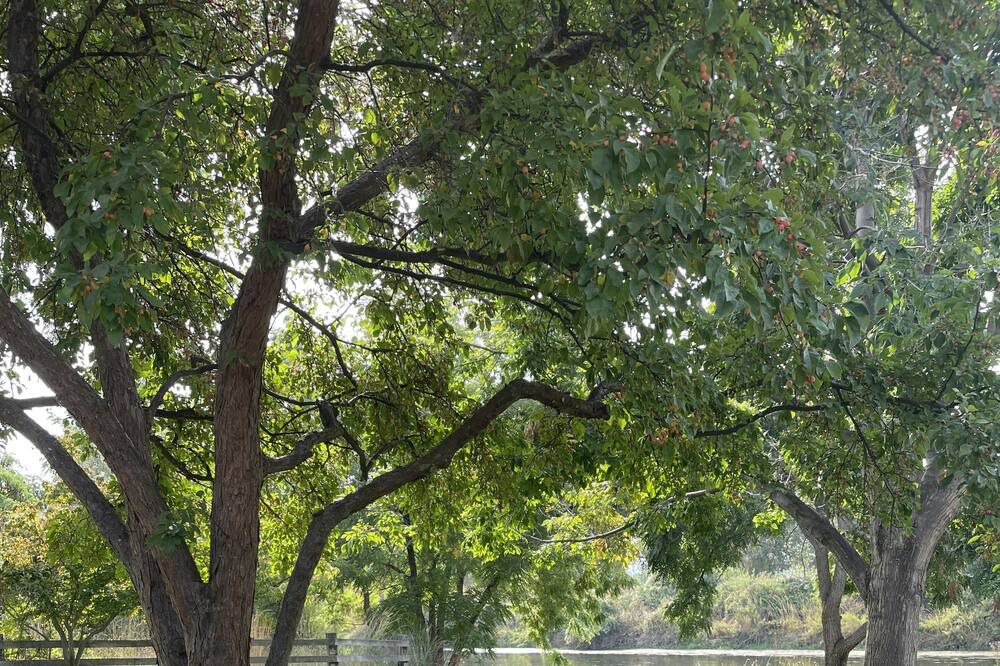 Photo of Others in Benton County