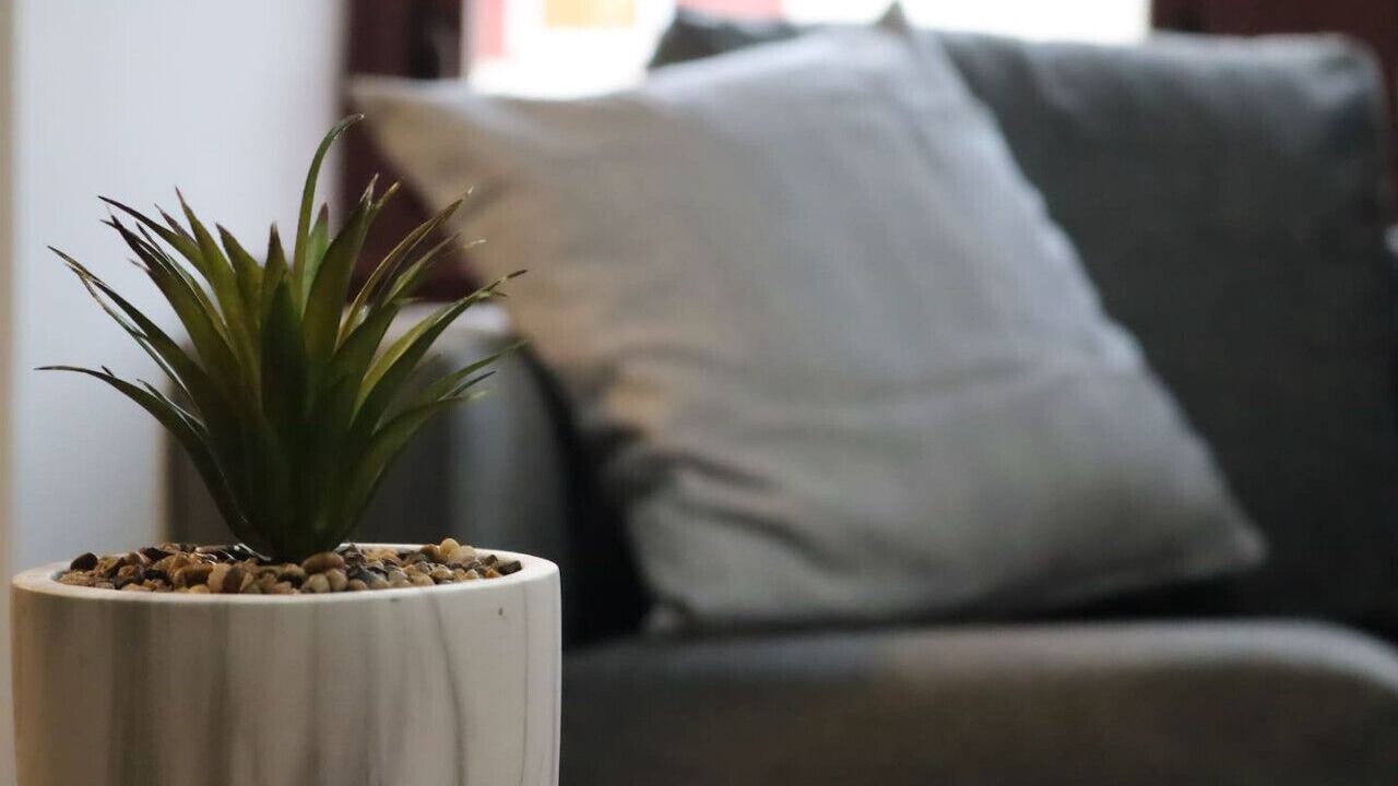 Photo of Others in Greenock