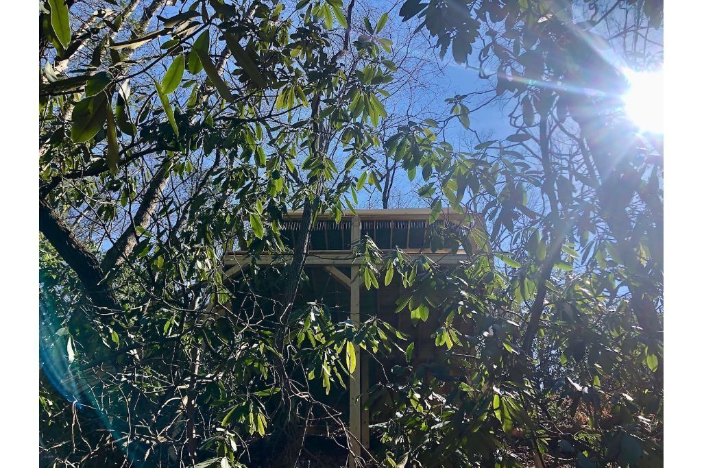 Photo of Outdoor in Cosby