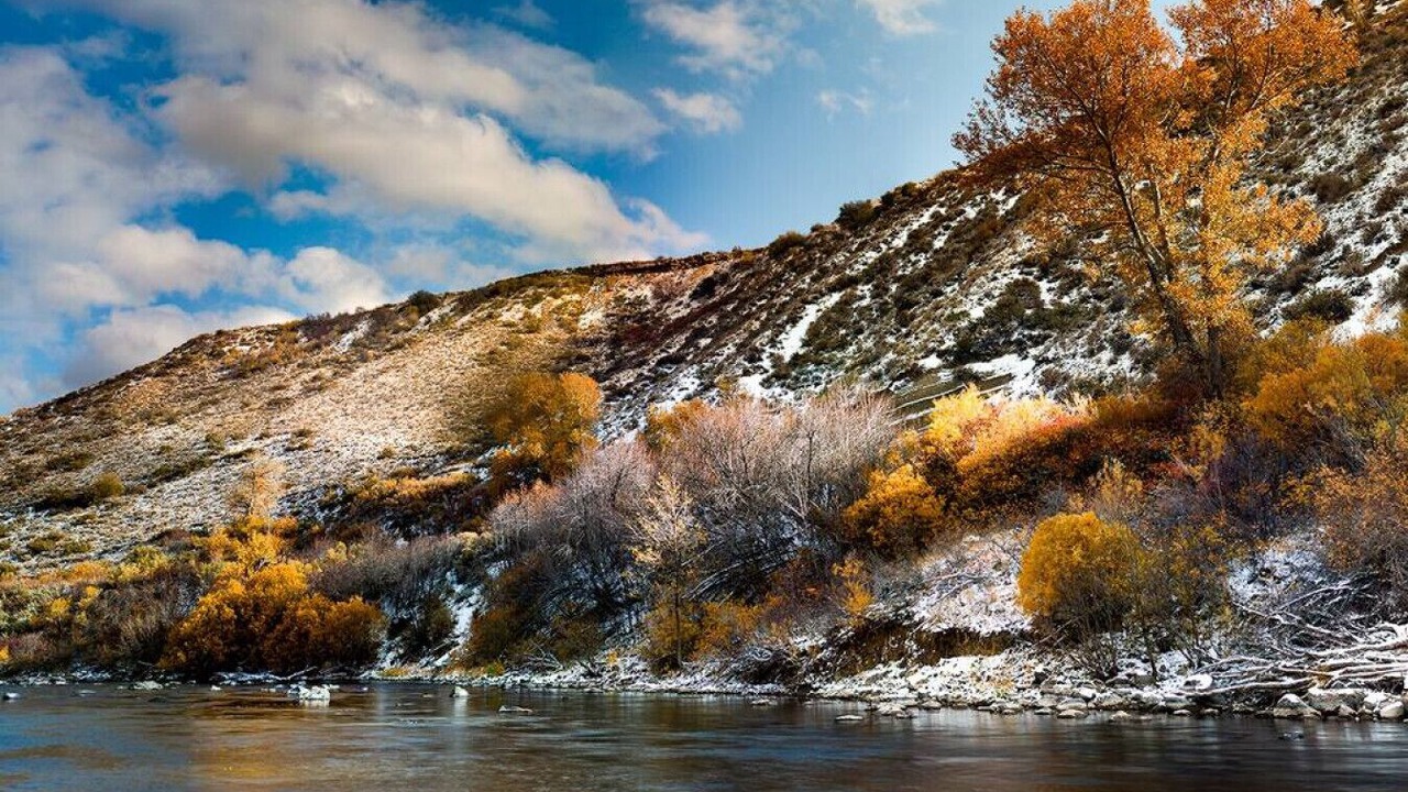 Photo of Others in Northwest Reno