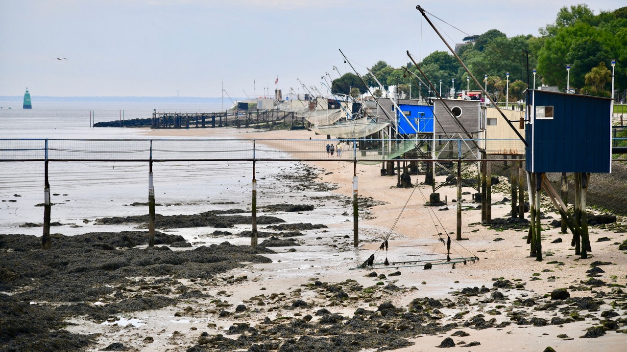 Photo of Others in Saint-Nazaire
