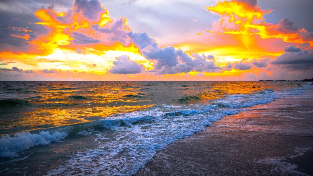 Photo of Others in Bradenton Beach