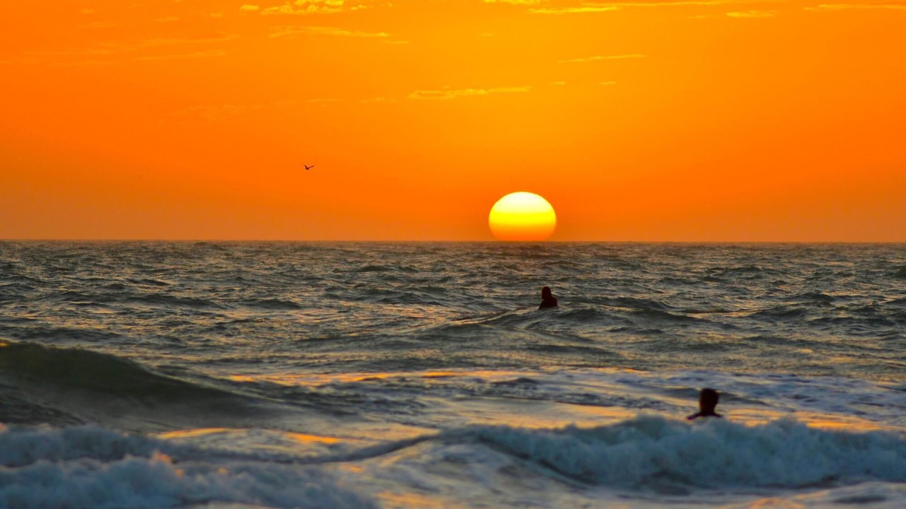 Photo of Others in Bradenton Beach
