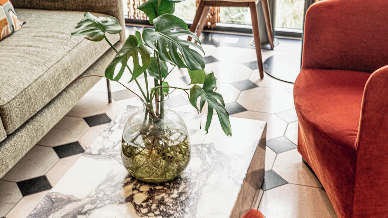 Photo of Others in Convention