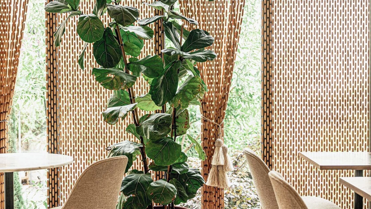 Photo of Others in Convention