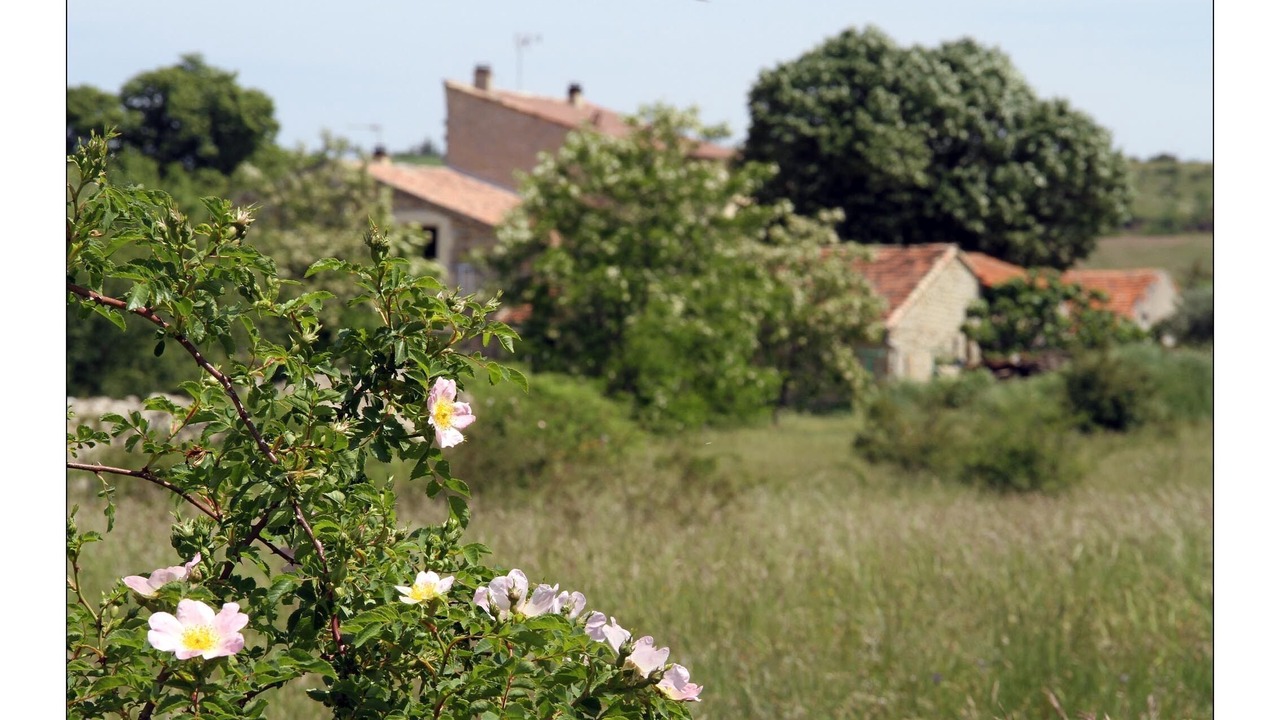 Photo of Outdoor in Saint-Jean-le-Centenier
