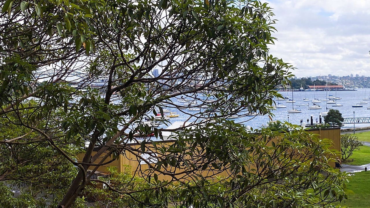 Photo of Others in Darling Point