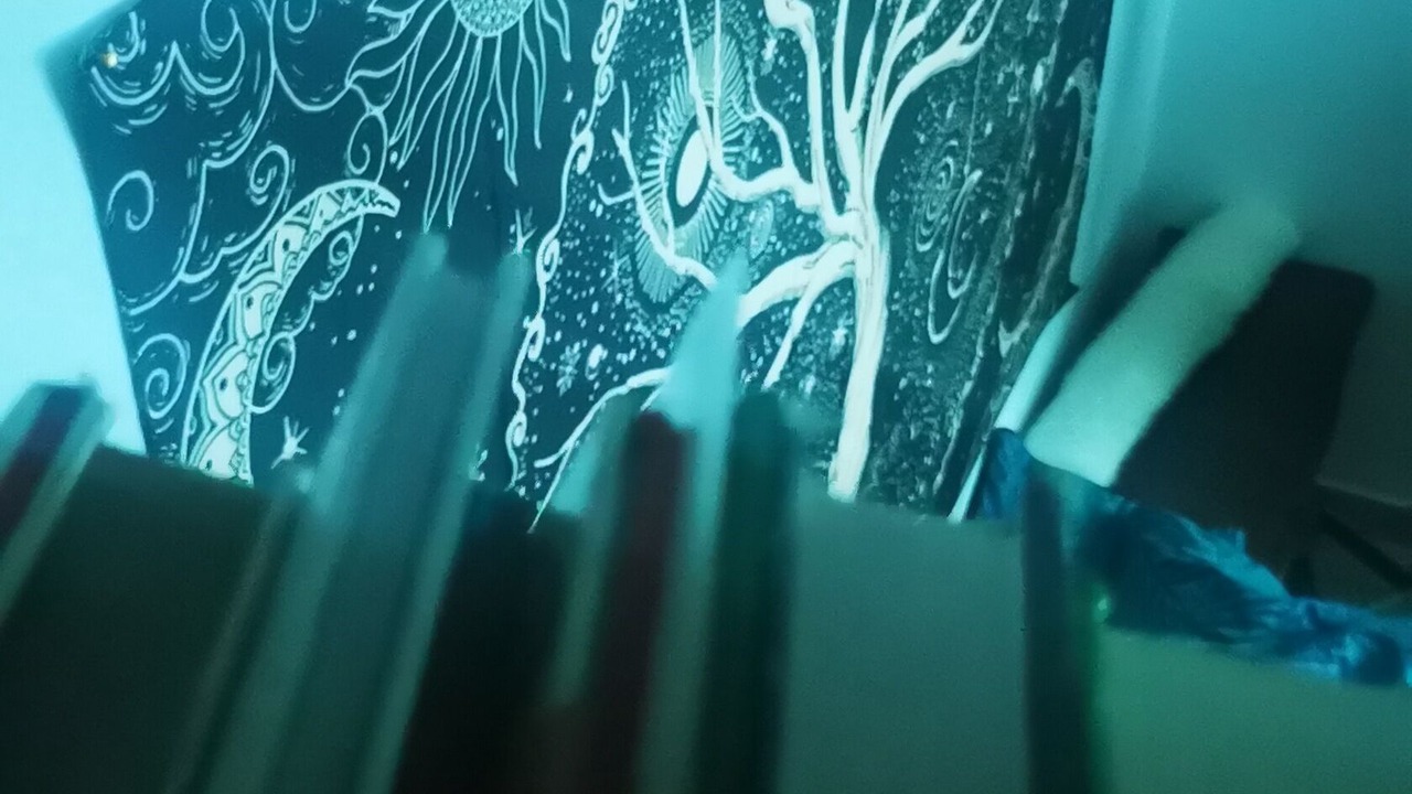 Photo of Others in La Demi - Lune