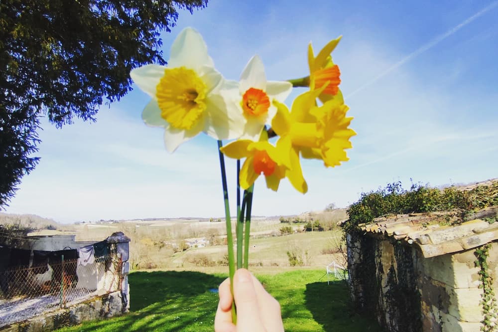 Photo of Others in Saint-Georges-des-Agouts
