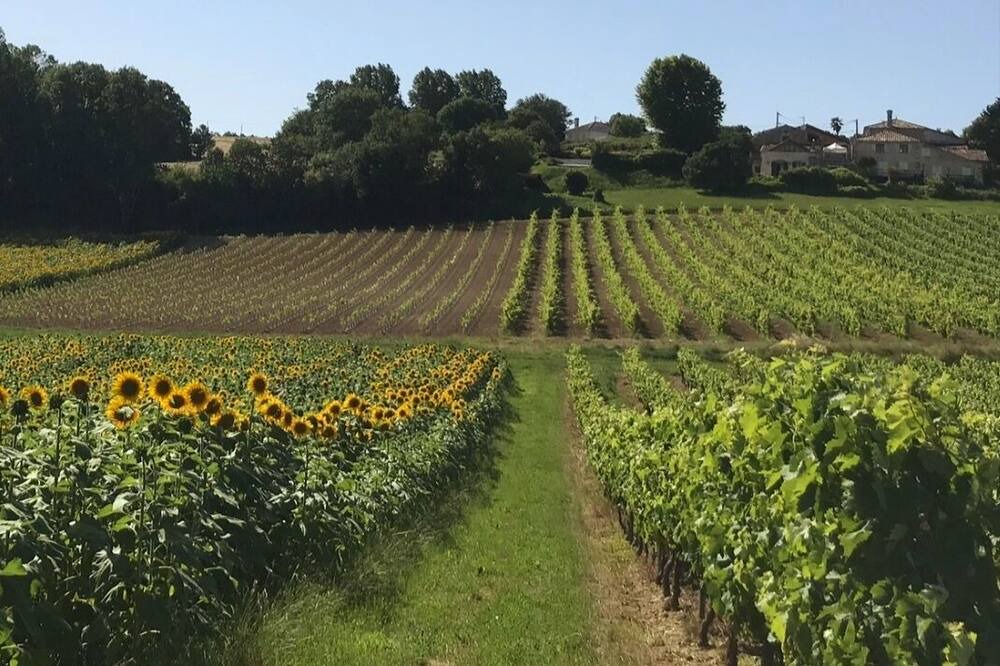 Photo of Others in Saint-Georges-des-Agouts