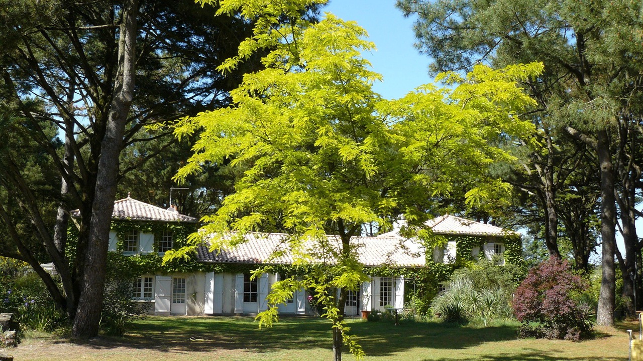 Photo of Outdoor in Les Moutiers-en-Retz