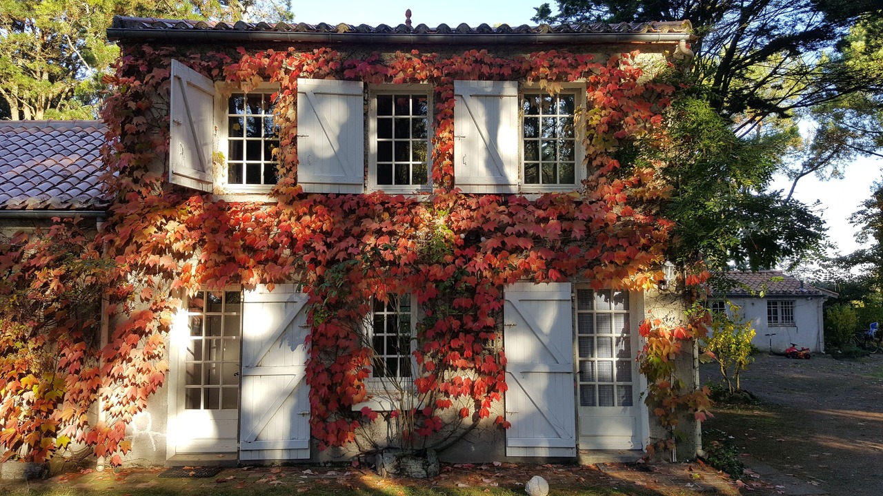 Photo of Outdoor in Les Moutiers-en-Retz