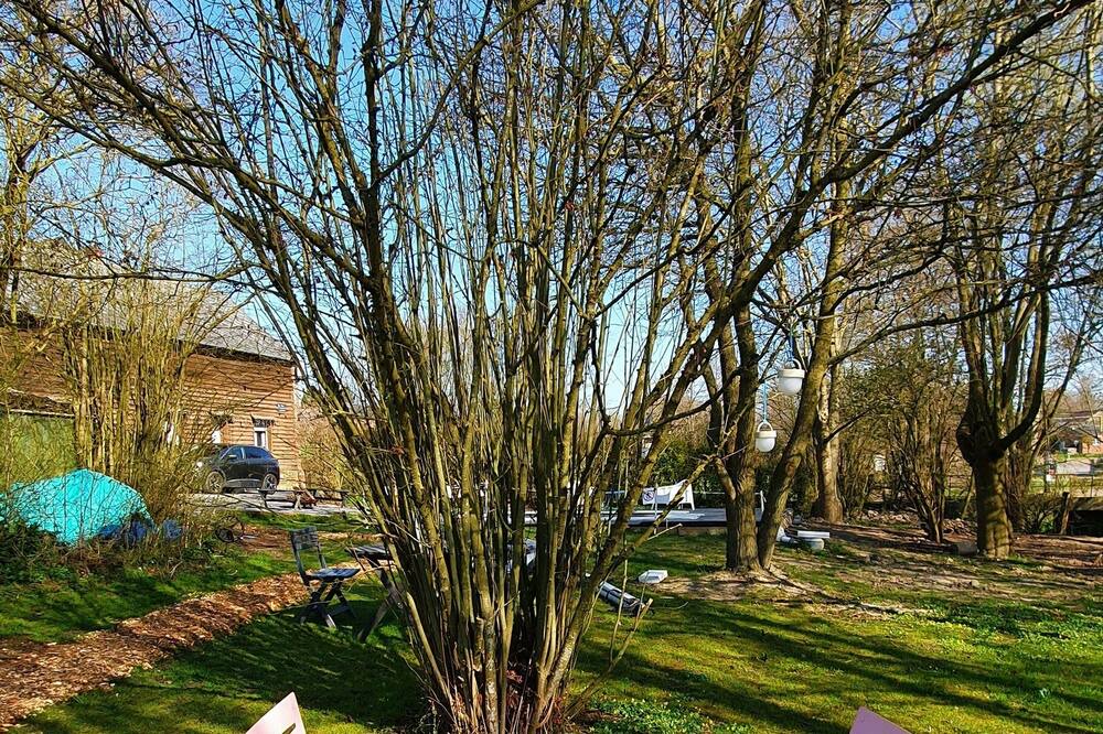 Photo of Outdoor in Sorbais