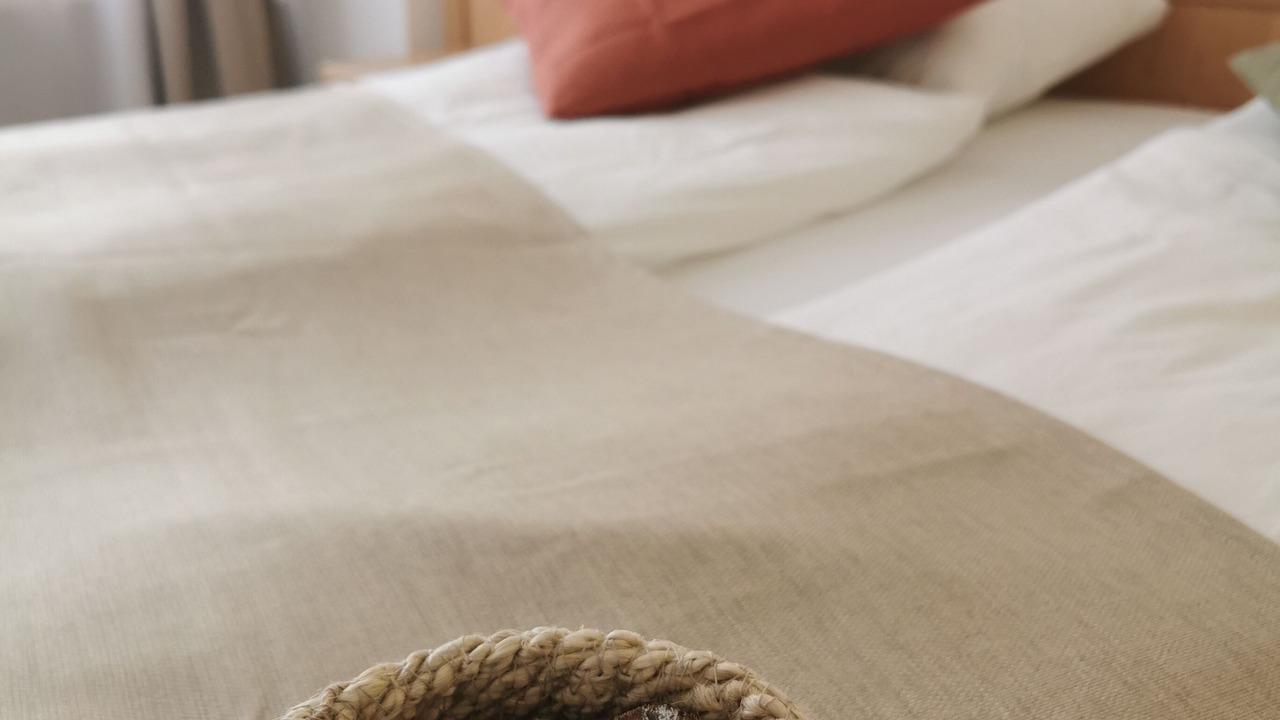 Photo of Bedroom in Engelberg