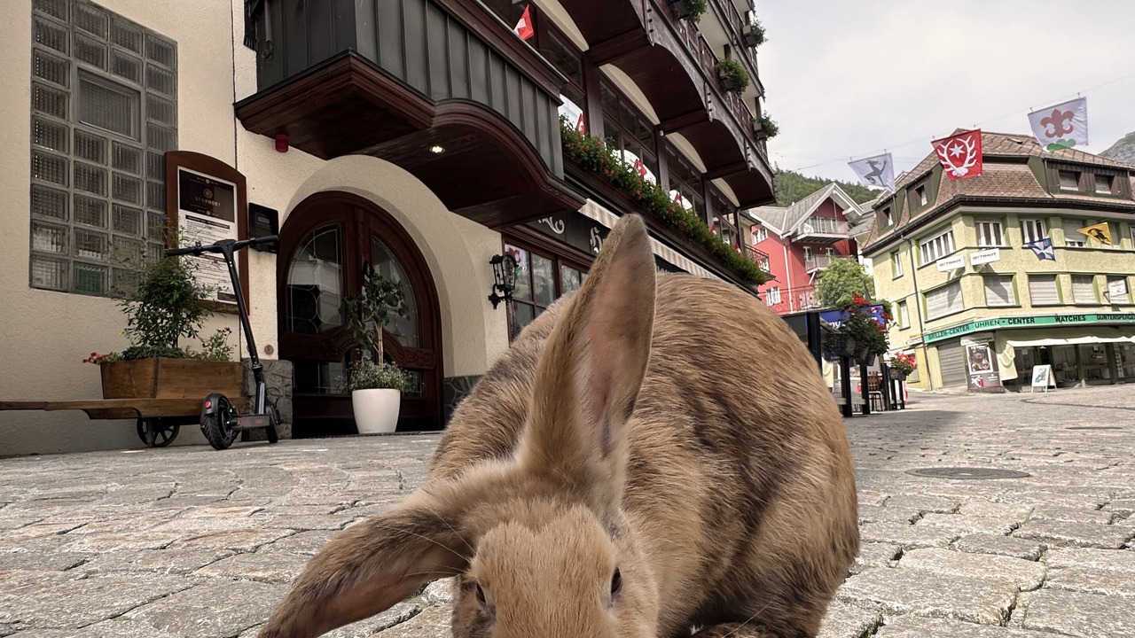 Photo of Outdoor in Engelberg