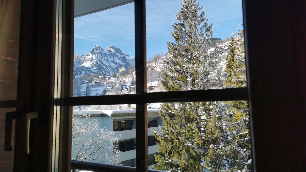 Photo of Bedroom in Engelberg