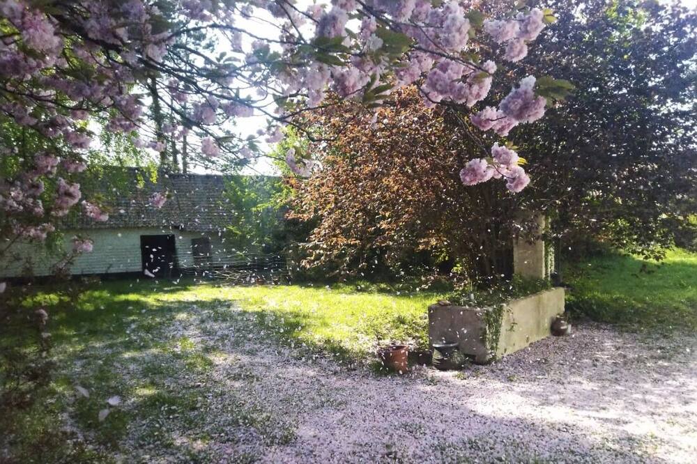 Photo of Outdoor in Attin