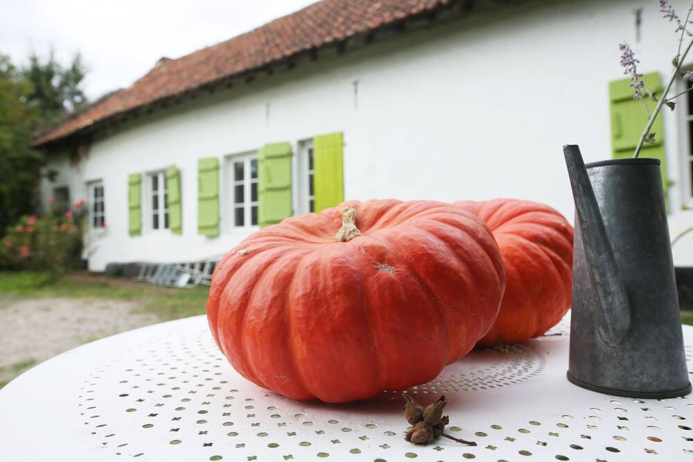 Photo of Others in Attin