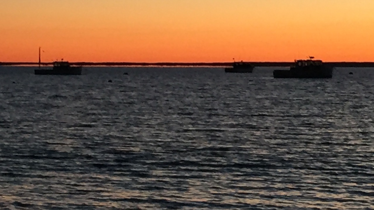 Photo of Others in Cape Elizabeth