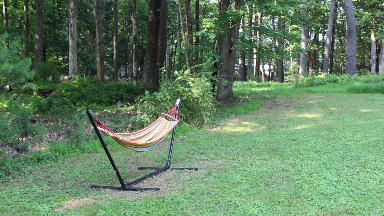 Photo of Outdoor in Beach Lake