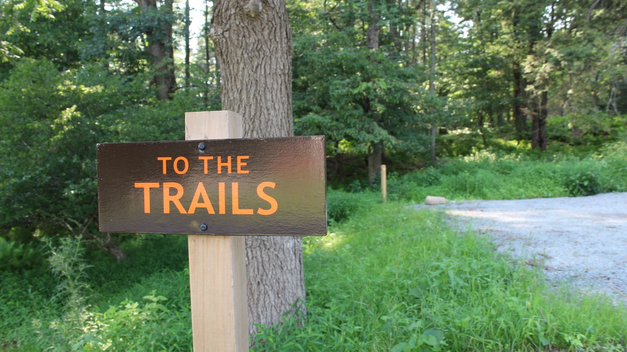 Photo of Outdoor in Beach Lake