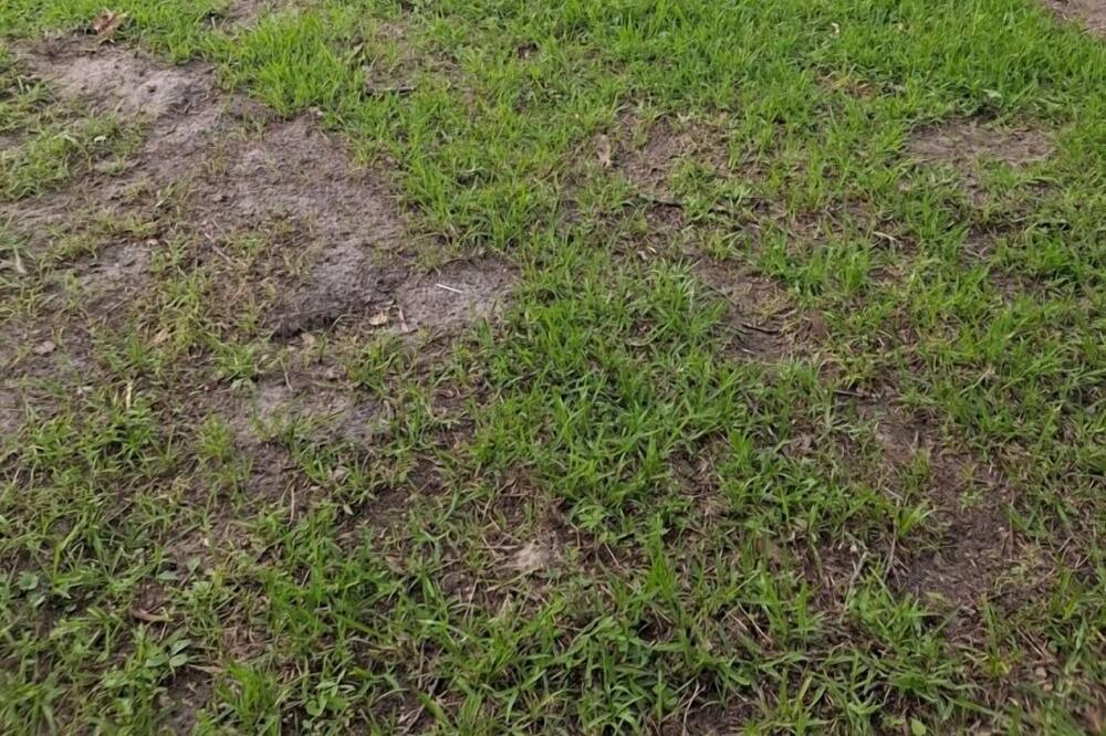 Photo of Outdoor in Chandler