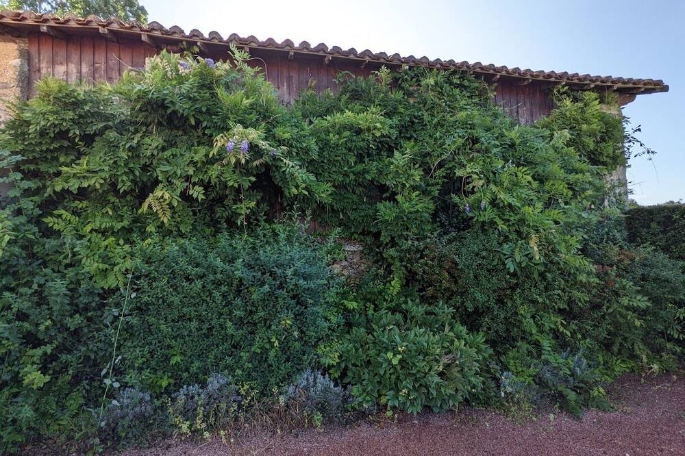 Photo of Outdoor in Nueil-sur-Layon