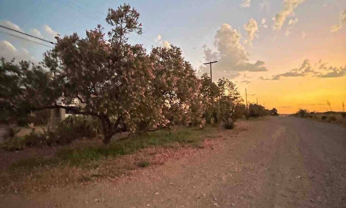 Photo of Others in Marfa