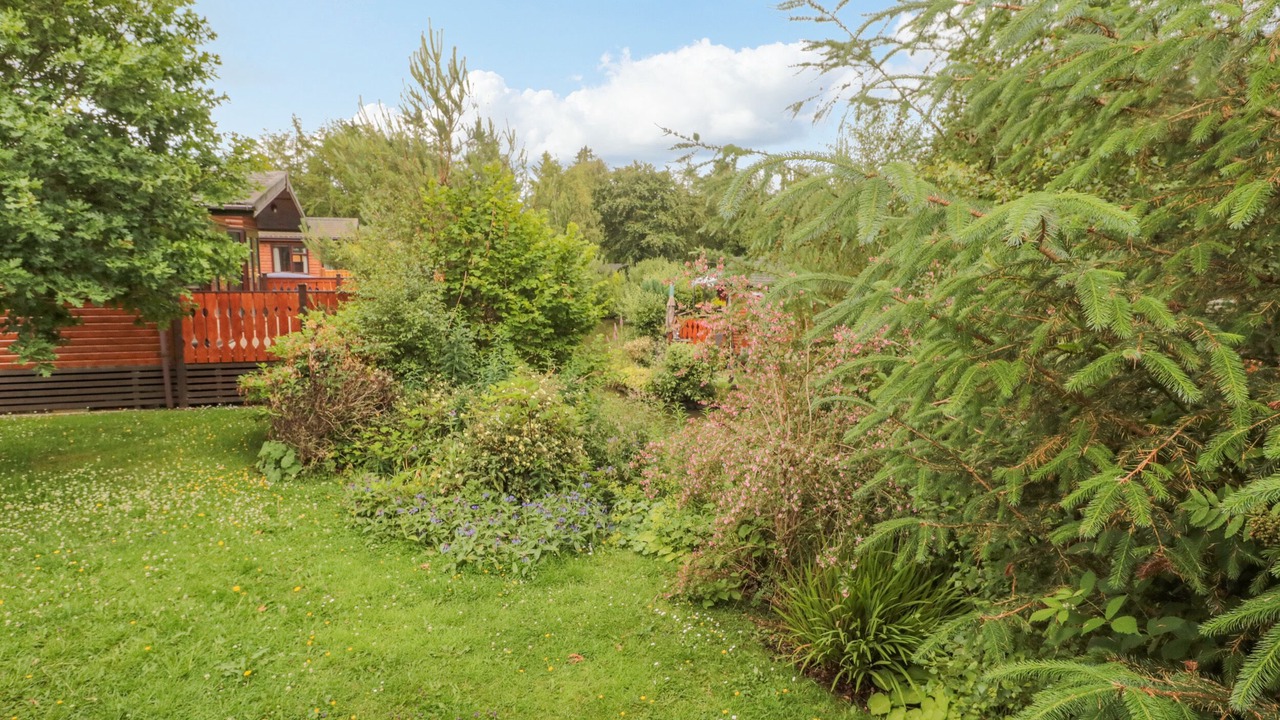 Photo of Others in Swarland