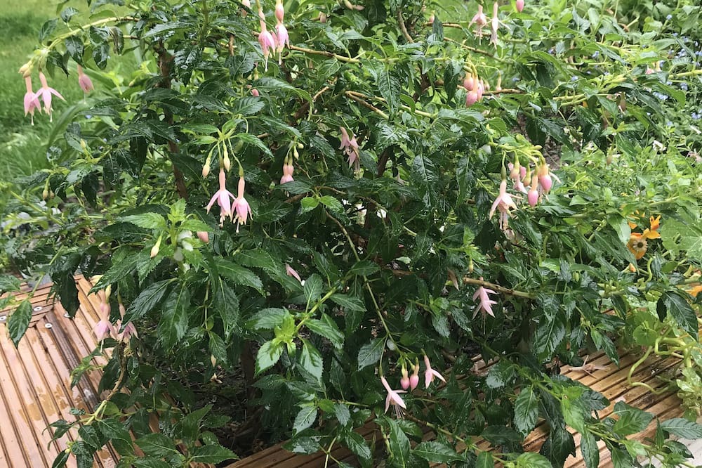 Photo of Outdoor in Herbignac