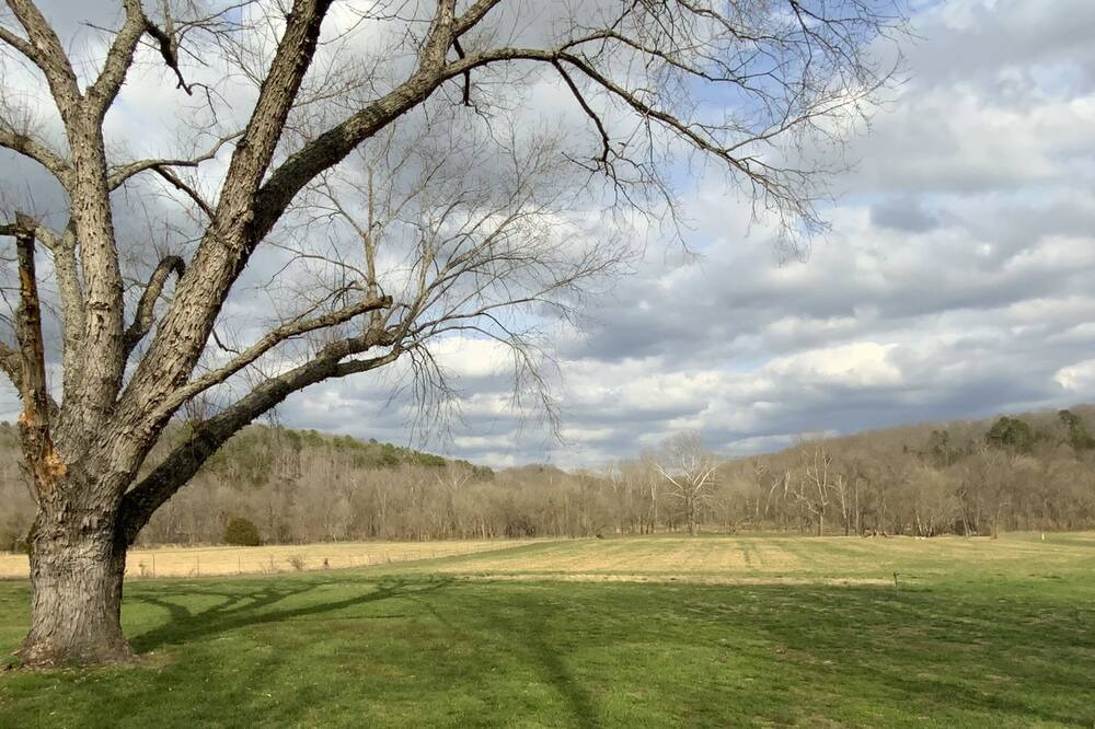 Photo of Outdoor in Tecumseh