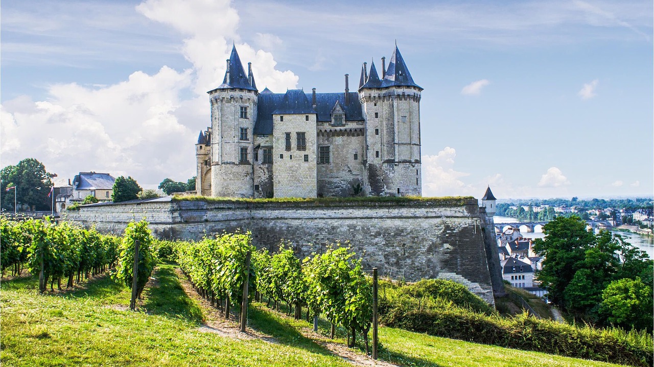 Photo of Outdoor in La Chapelle-sur-Loire