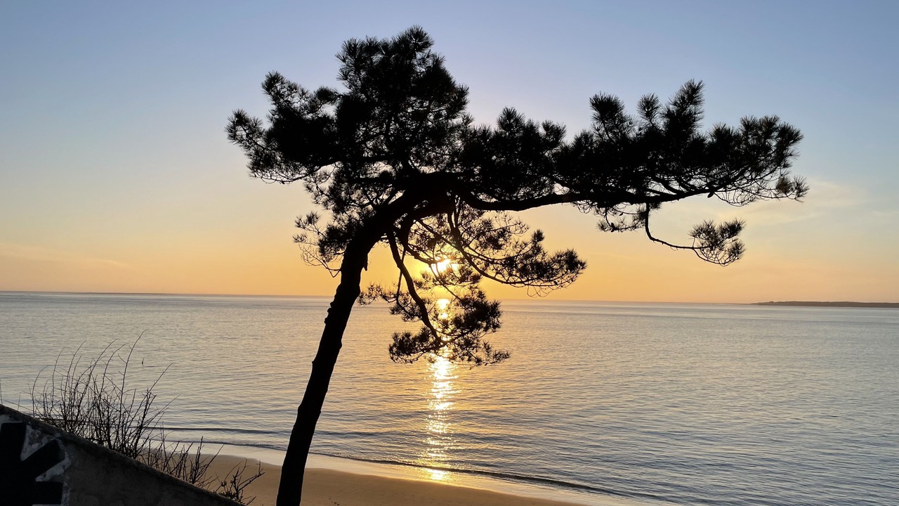 Photo of Outdoor in Audenge